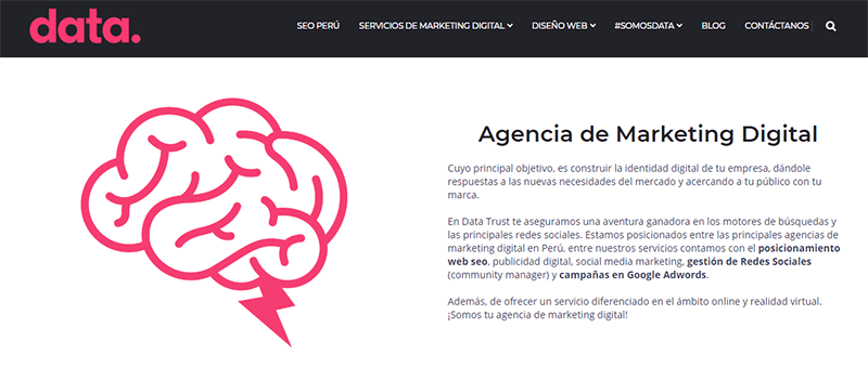 Data Trust dentro de las Mejores agencias de marketing digital en Perú y Latinoamérica