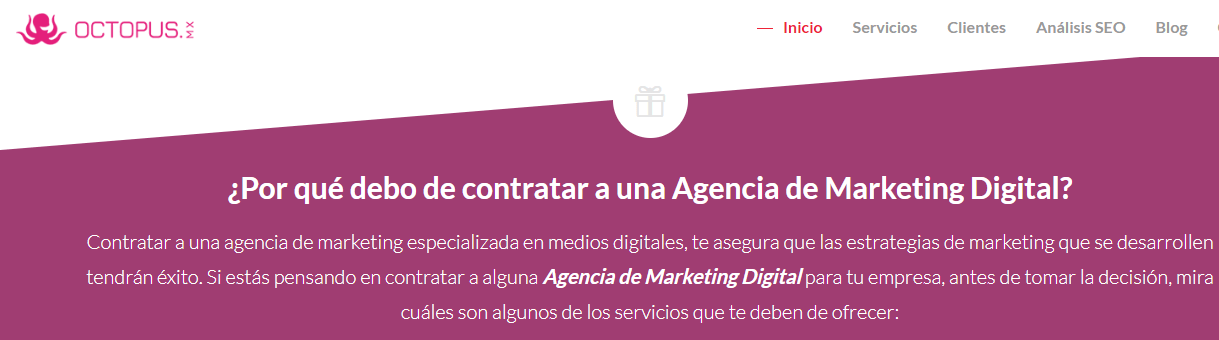 Octopus dentro de las Mejores agencias de marketing digital en México y Latinoamérica