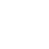 Logo de La Verde, cliente de la agencia de marketing digital Monkey Plus