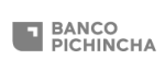Logotipo Banco Pichincha Logotipo gris del Banco Pichincha, entidad financiera aliada de Monkey Plus