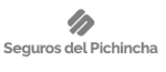 Logotipo Seguros del Pichincha Logotipo gris de Seguros del Pichincha, empresa aseguradora cliente de Monkey Plus